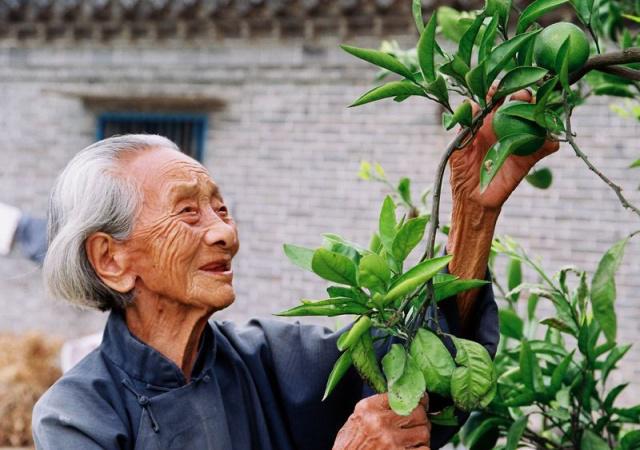 長(zhǎng)壽的人有哪些特點(diǎn)？年紀(jì)大了如何養(yǎng)生？